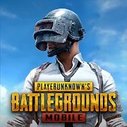 PUBG国际服林华秋免费公益直装