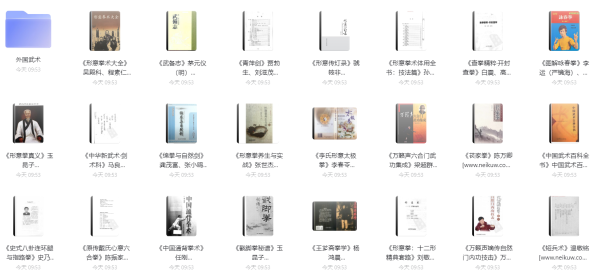 555本武术相关电子书 根本看不完