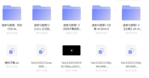 速度与激情10 [2023] 1080P+4K[全系列]