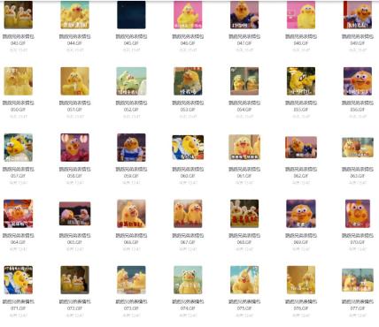 你微信缺的193个 鹦鹉表情包