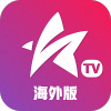 星火电视海外版_1.0.49去广告TV版
