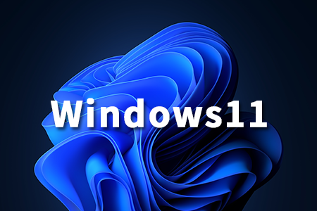 不忘初心Windows11美化精简版