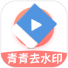 青青去水印v1.1多平台批量解析，图集视频混合解析