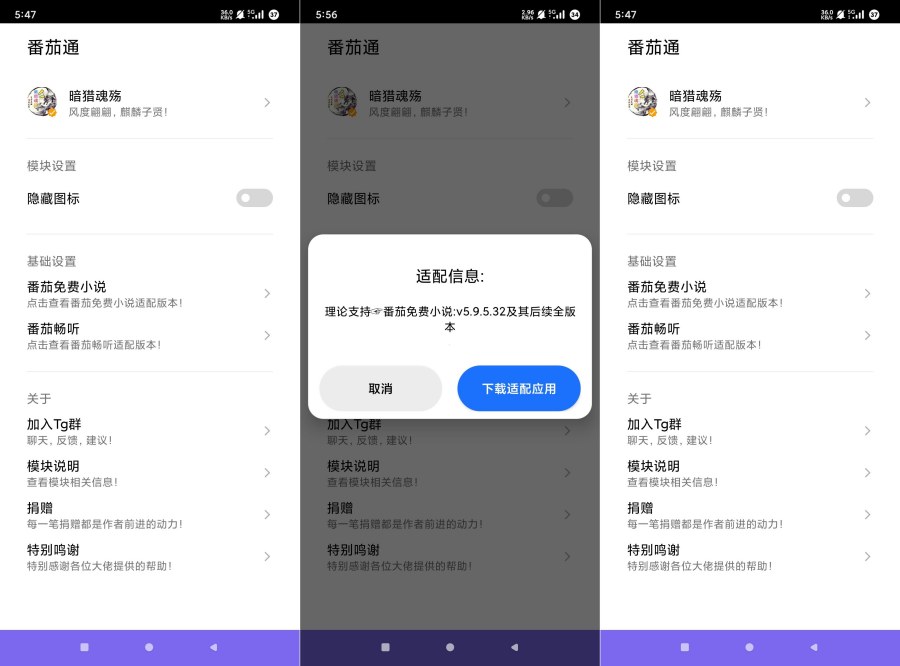 番茄通1.0.0番茄小说番茄畅听VIP解锁模块