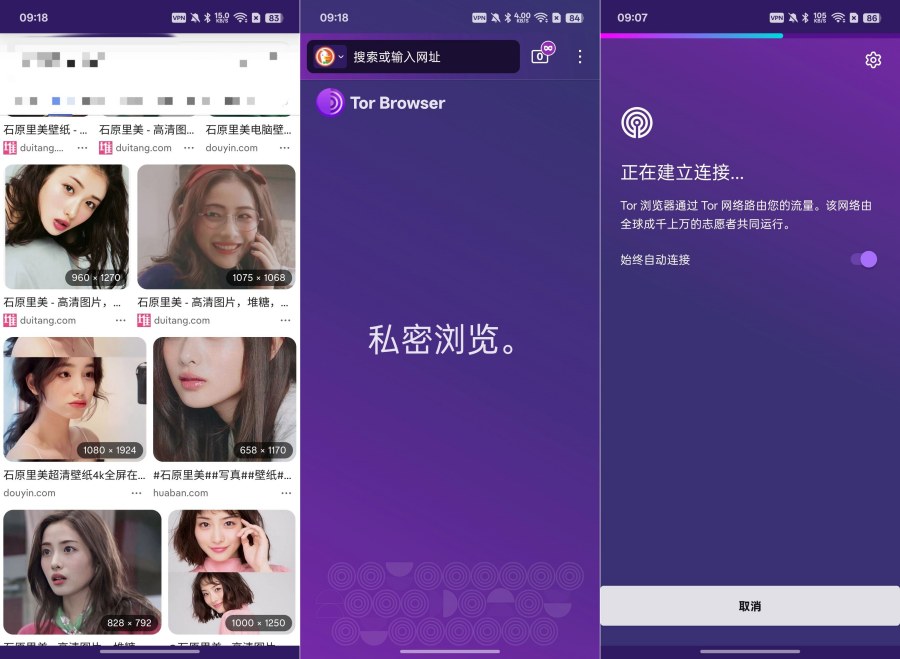 Tor浏览器15.0.14真正的私密浏览器隐藏真实IP--智点软件
